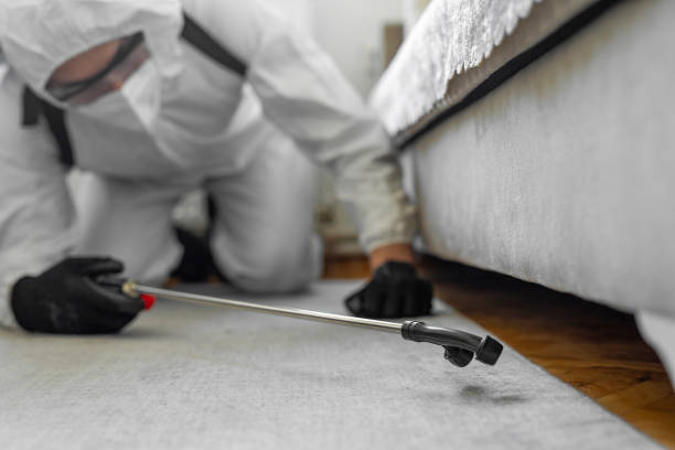 Professional Pest Control technician working in Jermyn, PA